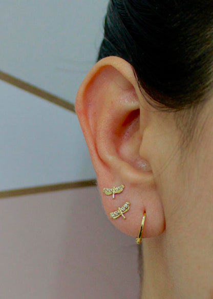 A Libélula