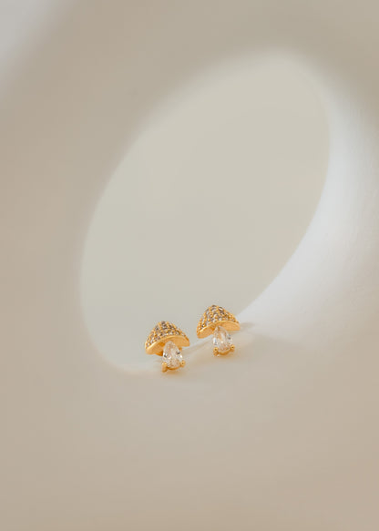 A Mushroom