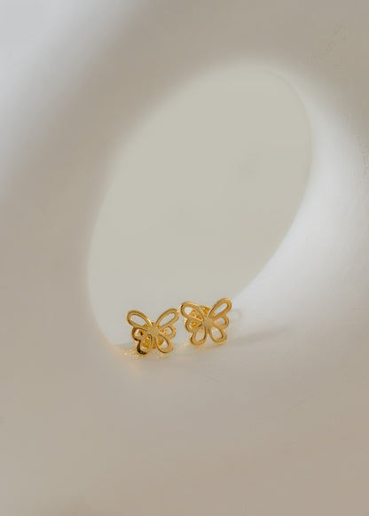 A Butterfly