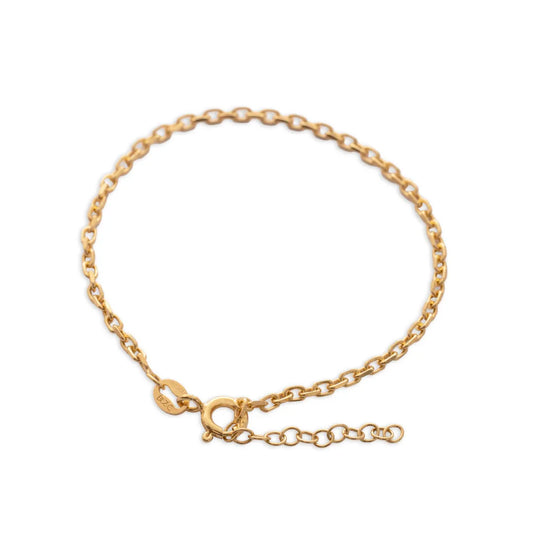 P Aros IT 2 mm 15.5 Cms + Ext