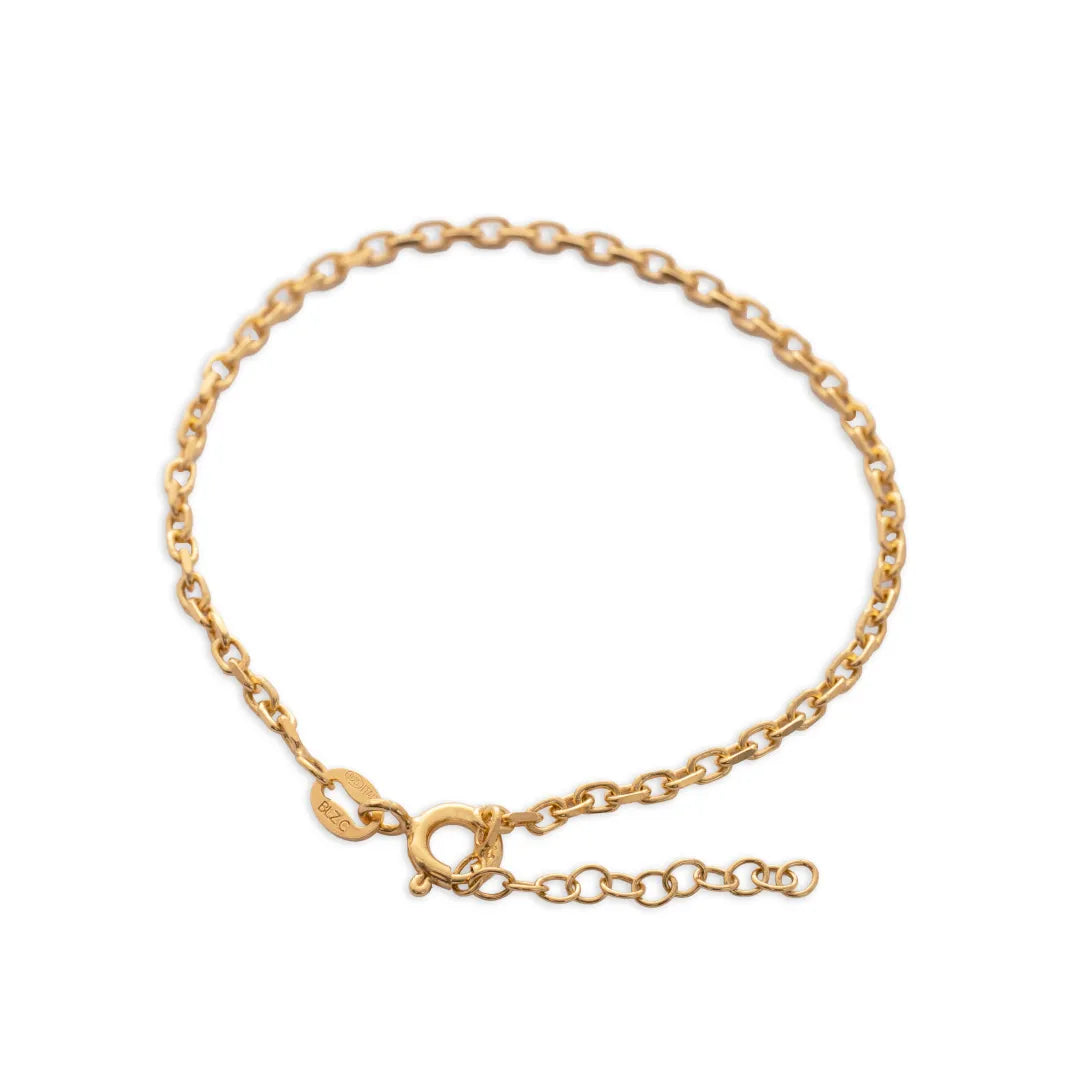 P Aros IT 2 mm 15.5 Cms + Ext
