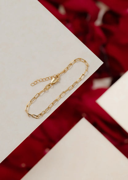 P Chain 16 Cms + Extensor